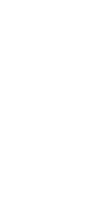月桂樹