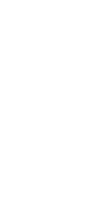 月桂樹